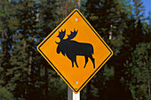 Elk traffic sign, Alberta Canada