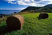 Near Port-au-Persil, St. Lawrence River Quebec, Canada