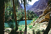Wadi Shab Oasis, Wadi Shab, Oman