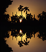 Palm trees and Jami Masjid mosque at sunset, Delhi, India Asia