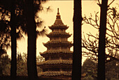 Pagoda in garden of Dai Hung temple, Hue, Vietnam Indochina, Asia
