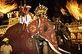 Kandy Perahera buddhist festival, Kandy, Sri Lanka Asia