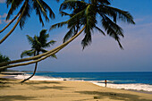 Beach near Tangalle, Tangalle, Sri Lanka Asia