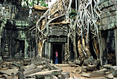 Ta Prohm temple with fig tree, Angkor, Siem Raep, Cambodia, Asia