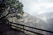 Pfad mit Zaun am Copper Canyon, Divisadero, Chihuahua, Mexiko, Amerika