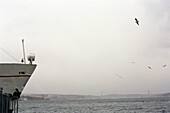 Schiff, Bosporus, Istanbul, Türkei