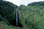 Akaka Falls, Akaka Falls State Park, North Hilo, Big Island Hawaii, Hawaii, USA