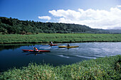 Kayaking on Hanalei River, Near Hanalei, Kauai, Hawaii, USA