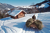 Farmer with sled, fully laden with hay, near Garmisch-Partenkirchen, Upper Bavaria, Germany