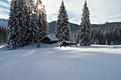 Family with two children snowshoeing in fresh powder snow, Elmau, Upper Bavaria, Germany