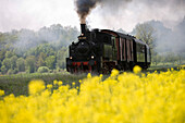 Steam Locomotive between Fladungen and Ostheim, Rhoen, Bavaria, Germany