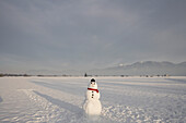 Snowman with knit hat and scarf, Bavarian Uplands