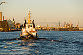 Tug in the harbour, Tug passing harbour of Hamburg in the dusk, Hamburg, Germany