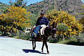 Bauer auf Esel bei Kamares, Kreta, Griechenland