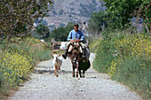 Farmer on donkey, Lassithi-Plateau, Crete, Greece