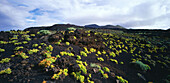 Volcan de Teneguia, La Palma, Spain