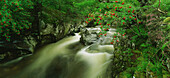 Mountain creek at Ben Nevis, Scotland, Great Britain