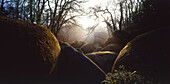 Magic Woods, Huelgoat, Brittany, France