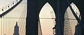 Brooklyn Bridge and Woolworth Building, New York, USA