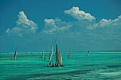 Dhows on Sea, Maternwe, Zanzibar, Tanzania