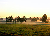 Misty Landscape near Diessen, Upper Bavaria, Germany