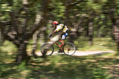 Mountainbiker races through a forest at Corsicas westcoast, Corsica, Mediterranean, France