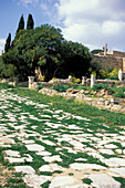 Roman Mansion, Karthago, Tunis