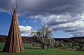 Tipi, Cherry Blossom, near Hagelloch, Tuebingen, Baden-Wuerttemberg, Germany