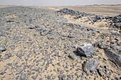 Fossilien, Erg Chebbi, Marokko