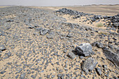 Fossils, Erg Chebbi, Morocco