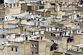 Dächer von Fes, Fes, Marokko
