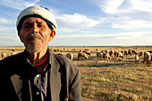 Shepherd with herd, Northern Morocco