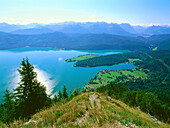 Blick vom Herzogstand auf Walchensee, Oberbayern, Deutschland