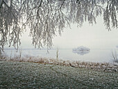 Frost covered landscape, Staffelsee, Upper Bavaria, Germany