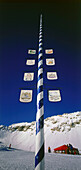 Low angle view of maypole, Winter, Zugspitze, Upper Bavaria, Germany, low angle view