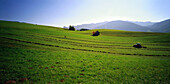 Wiese wird gemäht bei Unterammergau, Oberbayern, Deutschland