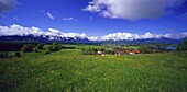 View from Aidlinger Hoehe towards lake Staffelsee, Upper Bavaria, Germany