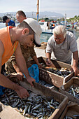 People sorting fishing at Madraki harbour, Kos-Town, Kos, Greece