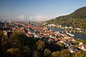 View over Old Town and River Neckar, Heidelberg, Baden-Wuerttemberg, Germany