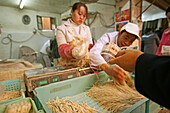noodle shop,fresh noodles, sales, market hall, paying with Yuan note, cash