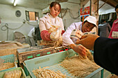 noodle shop,fresh noodles, frische Nudeln, Verkauf, sales, Markthalle, market hall, Bezahlen mit Geldnote, paying with Yuan note, cash, aus: "Mythos Shanghai", Shanghai, Sachbuch, Bildband, Fotos Karl Johaentges, Text Erich Follath, Verlag, Collection Rol