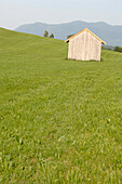 Shack on green meadow, Antdorf, Bavaria, Germany