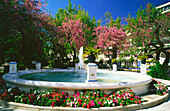 Stadtpark,Avenida Ramon y Cajal,Marbella,Provinz Malaga,Andalusien,Spanien