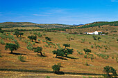 Landhaus, bei Valverde de Burgillos, Provinz Badajoz, Extremadura, Spanien