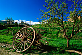 Karren bei La Calahorra,Sierra Nevada,Provinz Granada,Andalusien,Spanien