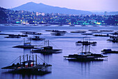 Townscape with Mussel floats, Vigo, Ria de Vigo, Rias Baixas, Province of Pontevedra, Galicia, Spain