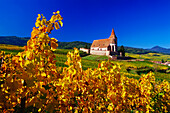 Kapelle in den Weinbergen bei Hunawihr, Elsass, Frankreich