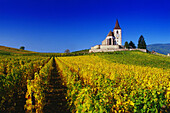 Chapel in the Vineyards near Hunawihr,Elsass,France