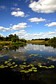 Teich eines Gutshofes, Jogeva, Estland