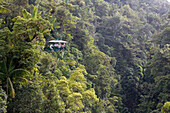 Dominica Rain Forest Aerial Tram, Regenwald Bahn, Morne Trois Piton National Park, Laudat, Dominica